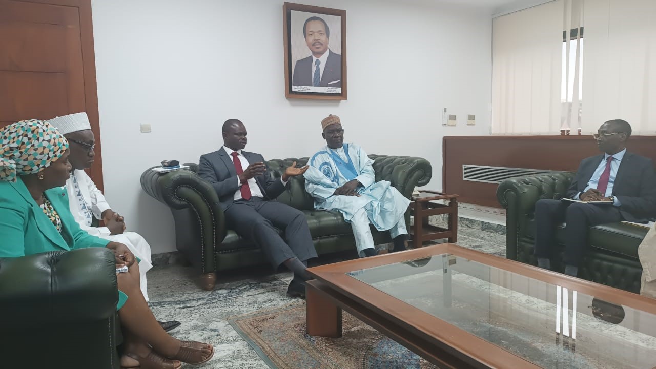 AfricaRice DG, MINEPAT boss discuss boosting rice production in Cameroon